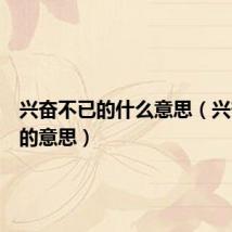 兴奋不已的什么意思(兴奋不已的意思)