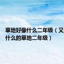 草地好像什么二年级（又什么又什么的草地二年级）
