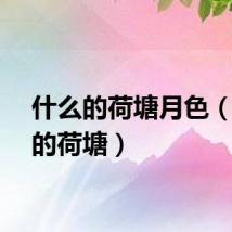 什么的荷塘月色（什么的荷塘）