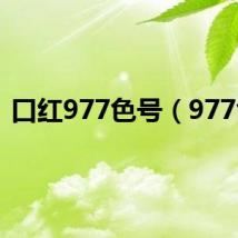 口红977色号(977色)