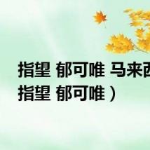 指望 郁可唯 马来西亚(指望 郁可唯)