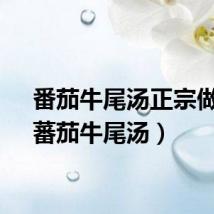 番茄牛尾汤正宗做法(蕃茄牛尾汤)