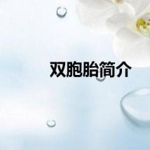 双胞胎简介