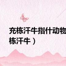 充栋汗牛指什动物（充栋汗牛）