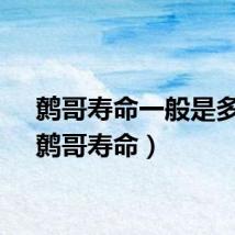 鹩哥寿命一般是多久（鹩哥寿命）