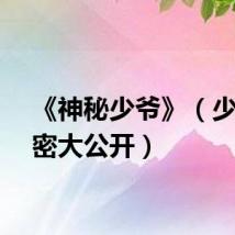 《神秘少爷》（少爷秘密大公开）