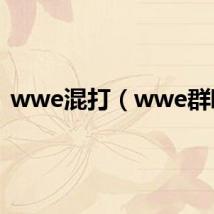 wwe混打（wwe群殴）