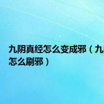 九阴真经怎么变成邪(九阴真经怎么刷邪)