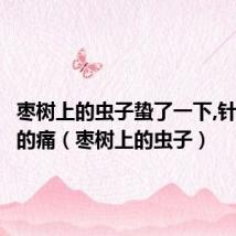 枣树上的虫子蛰了一下,针扎一样的痛(枣树上的虫子)