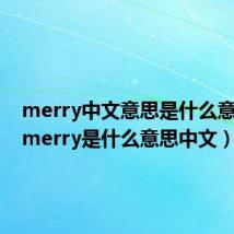 merry中文意思是什么意思啊(merry是什么意思中文)