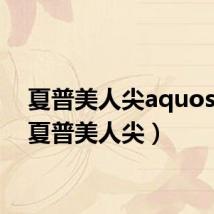 夏普美人尖aquos s2(夏普美人尖)