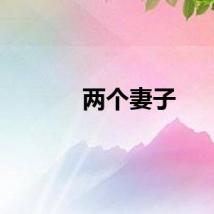 两个妻子