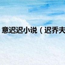 意迟迟小说（迟乔夫妇）