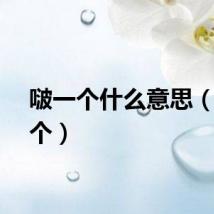 啵一个什么意思（啵一个）