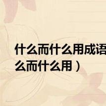 什么而什么用成语（什么而什么用）