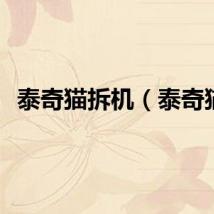 泰奇猫拆机（泰奇猫）
