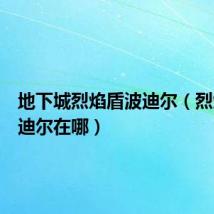 地下城烈焰盾波迪尔(烈焰盾波迪尔在哪)
