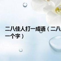 二八佳人打一成语(二八佳人打一个字)