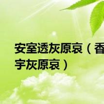 安室透灰原哀（香椎由宇灰原哀）