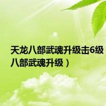 天龙八部武魂升级击6级(天龙八部武魂升级)