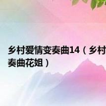 乡村爱情变奏曲14(乡村爱情变奏曲花姐)
