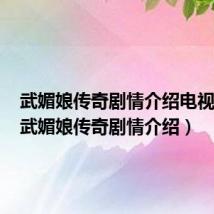 武媚娘传奇剧情介绍电视指南(武媚娘传奇剧情介绍)
