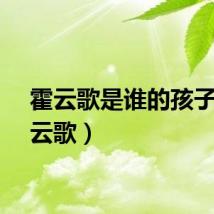 霍云歌是谁的孩子（霍云歌）