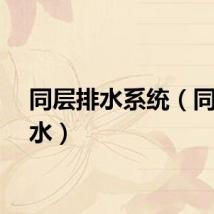 同层排水系统（同层排水）
