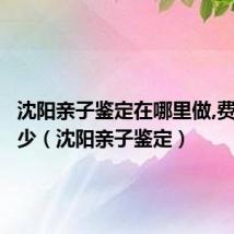 沈阳亲子鉴定在哪里做,费用是多少(沈阳亲子鉴定)