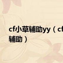 cf小草辅助yy(cf小草辅助)