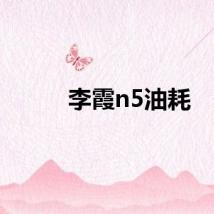 李霞n5油耗