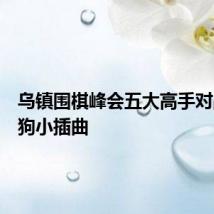 乌镇围棋峰会五大高手对战阿法狗小插曲