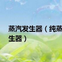 蒸汽发生器（纯蒸汽发生器）
