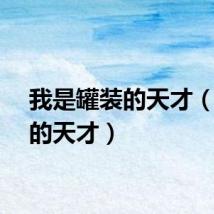 我是罐装的天才（灌装的天才）