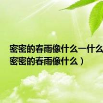 密密的春雨像什么一什么牛毛(密密的春雨像什么)