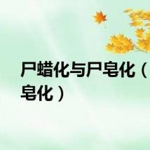 尸蜡化与尸皂化（尸体皂化）