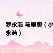罗永浩 马里奥（小马 罗永浩）