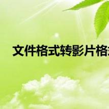 文件格式转影片格式