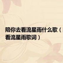 陪你去看流星雨什么歌(陪你去看流星雨歌词)