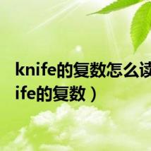 knife的复数怎么读(knife的复数)