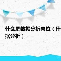 什么是数据分析岗位(什么是数据分析)