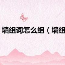墙组词怎么组（墙组词）