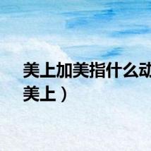 美上加美指什么动物(美上)