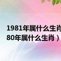 1981年属什么生肖(1980年属什么生肖)