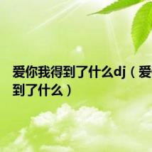爱你我得到了什么dj(爱你我得到了什么)