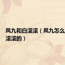 凤九和白滚滚(凤九怎么怀上白滚滚的)