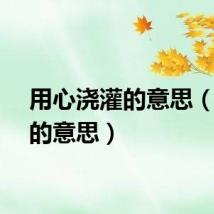 用心浇灌的意思（浇灌的意思）