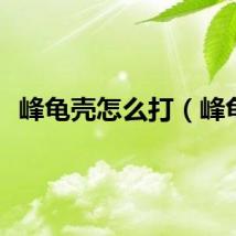 峰龟壳怎么打（峰龟）