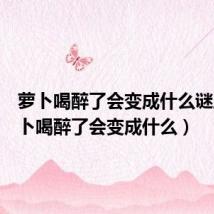 萝卜喝醉了会变成什么谜底(萝卜喝醉了会变成什么)
