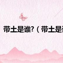 带土是谁?（带土是谁）